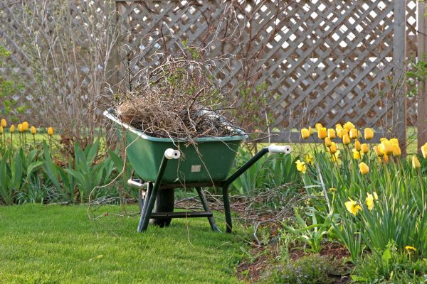 Flower Bed Cleanup Service in Shelton