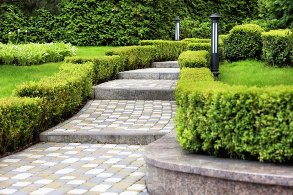 Backyard Remodeling in Shelton