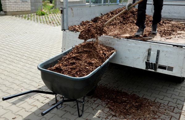 Bulk Mulch Delivery in Shelton