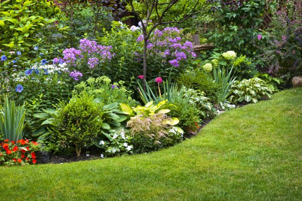 Flower Bed Service in Shelton