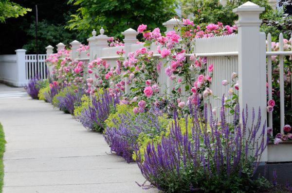 Garden Handyman Service in Shelton