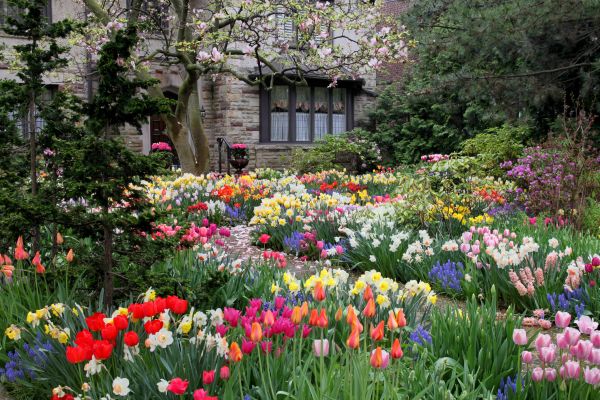 Garden Maintenance Service in Shelton