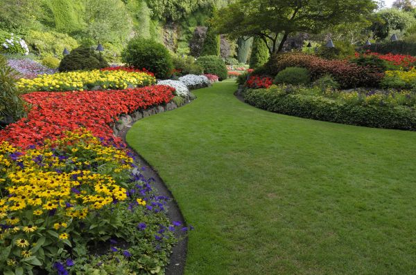 Landscaping Maintenance in Shelton