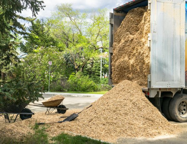 Wood Chips Delivery in Shelton