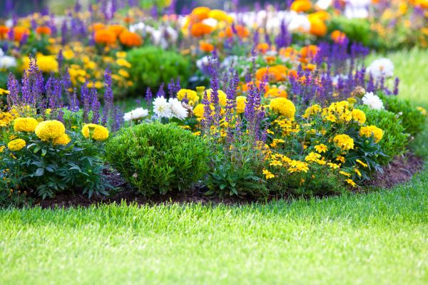 Garden Installation in Shelton