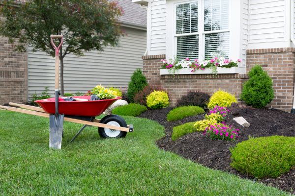 Landscape Maintenance Service in Shelton