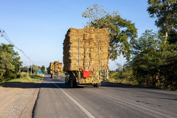 Pine Straw Delivery in Shelton