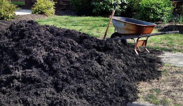 Black Mulch Delivery in Shelton