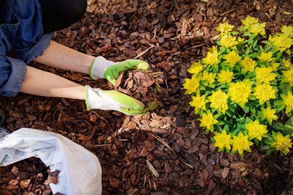 Garden Mulching in Shelton