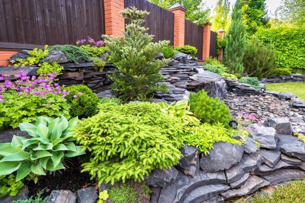 Landscape Remodeling in Shelton
