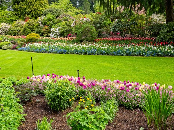 Residential Landscape Design in Shelton