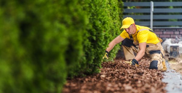 Cypress Mulch Installation in Shelton