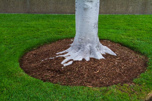 Brown Mulch Installation in Shelton