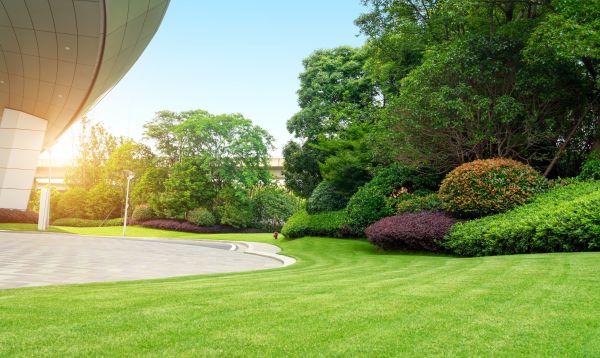 Business Landscape Design in Shelton