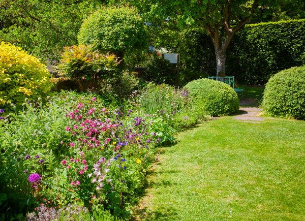 Yard Landscaping Service in Shelton