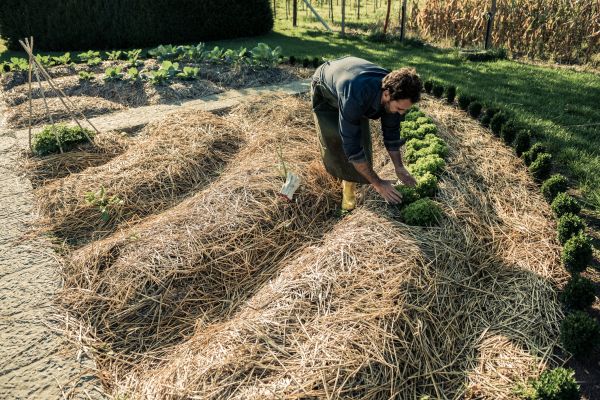 Straw Mulching Service in Shelton