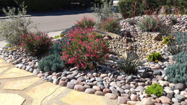 Xeriscape Landscaping in Shelton