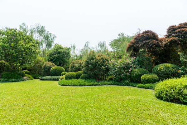 Tree Landscaping in Shelton