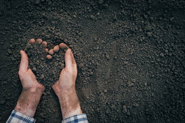 Soil Installation in Shelton