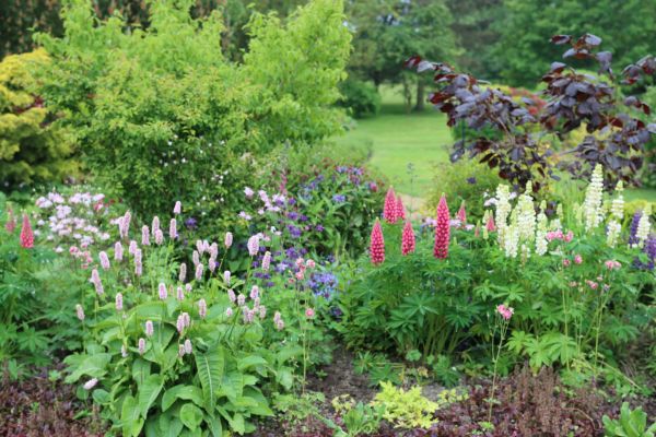 Flower Bed Planting in Shelton