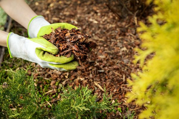 Garden Mulch Delivery in Shelton