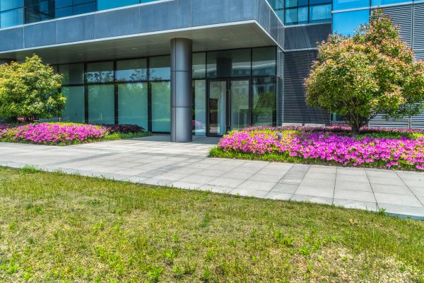 Commercial Gardening in Shelton