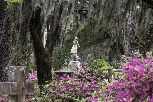 Cemetery Landscaping in Shelton