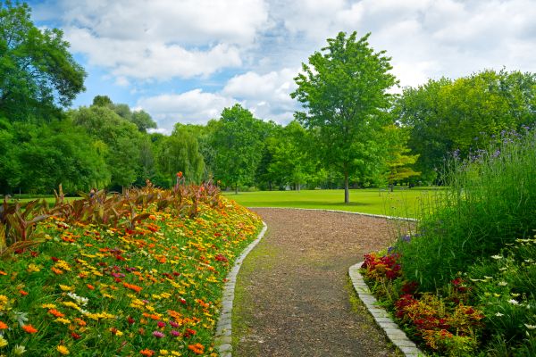 Park Landscaping in Shelton