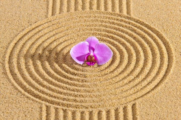 Sand Garden Landscaping in Shelton
