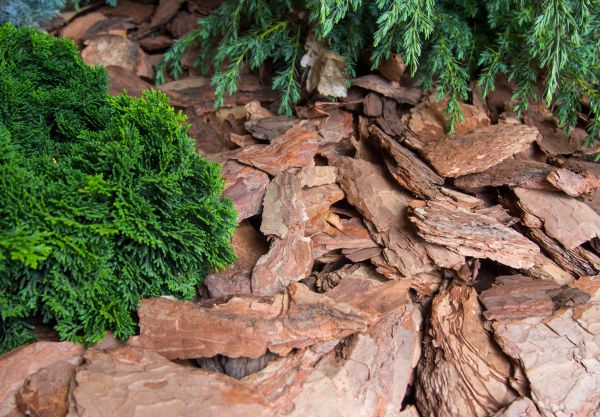 Pine Bark Installation in Shelton
