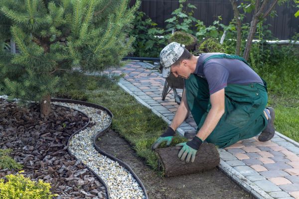 Landscaping Modification in Shelton
