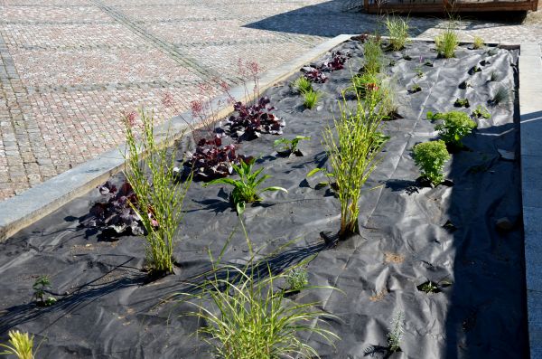 Landscape Fabric Installation in Shelton