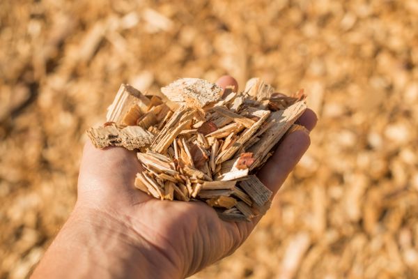 Wood Chips Spreading in Shelton