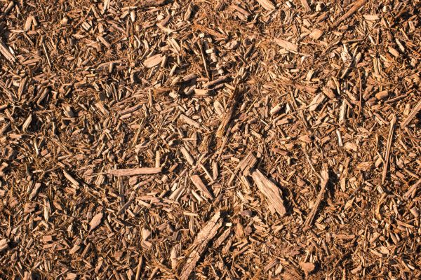Wood Chips Removal in Shelton