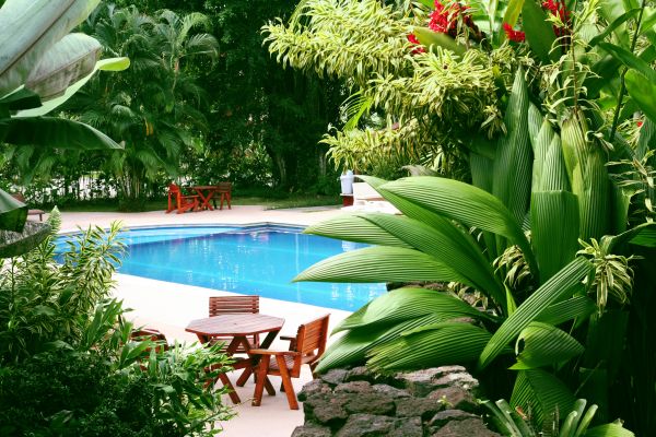 Pool Area Landscaping in Shelton