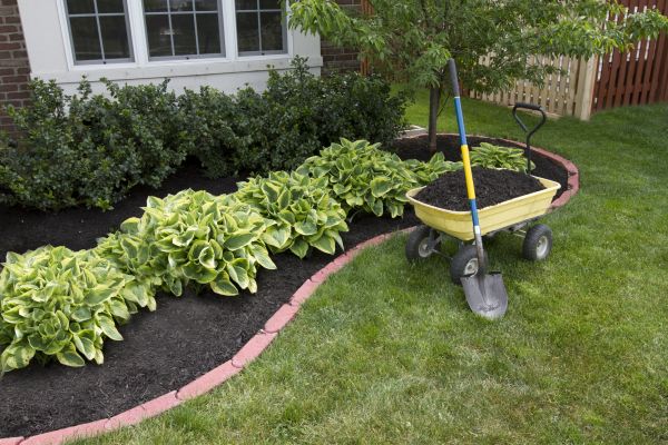 Landscape Mulching in Shelton