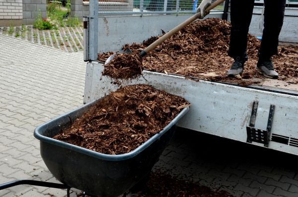 Playground Mulch Delivery in Shelton