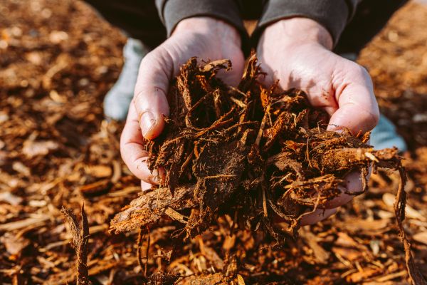 Bark Chips Delivery in Shelton