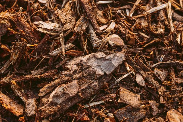 Bark Mulch Delivery in Shelton