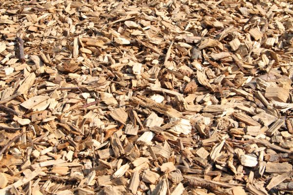 Wood Mulch Delivery in Shelton