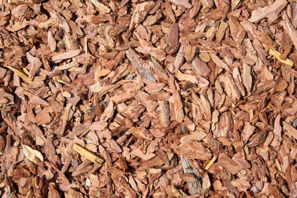 Pine Mulch Delivery in Shelton