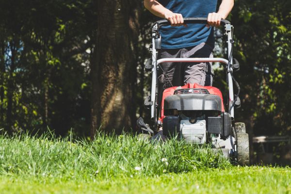 Garden Trimming Service in Shelton