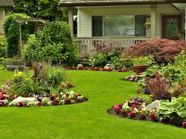 Flower Garden Planting in Shelton