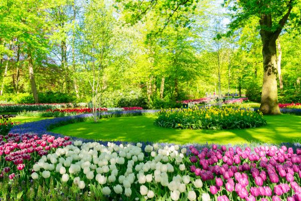 Flower Landscaping in Shelton