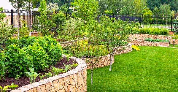 Yard Makeover Service in Shelton
