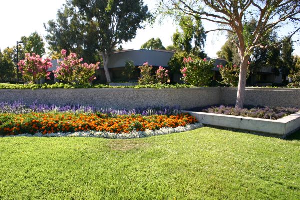 Commercial Landscape Service in Shelton
