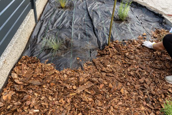 Pine Bark Spreading in Shelton