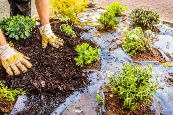 Mulch Fabric Installation in Shelton