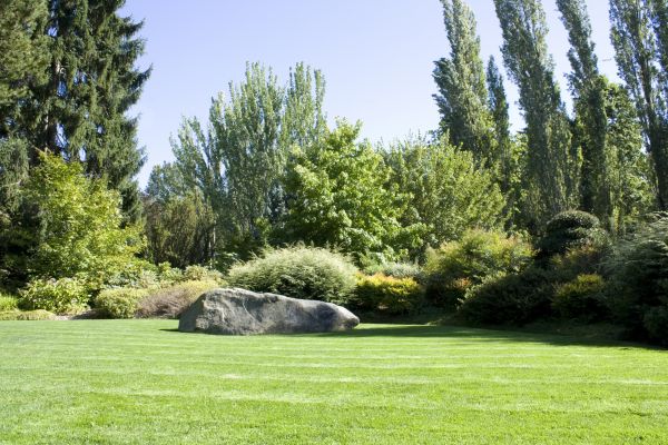 Yard Enlargement in Shelton