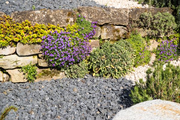 Landscaping Rocks Installation in Shelton